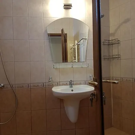 Markovi *