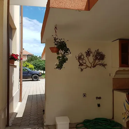 Markovi 3* Ахелой